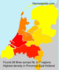 Surname Bree in Netherlands Surname Bree in Netherlands