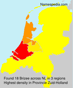 Brizee Brizee