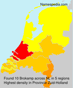 Brokamp Brokamp