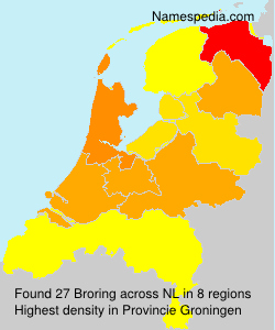 Surname Broring in Netherlands Surname Broring in Netherlands