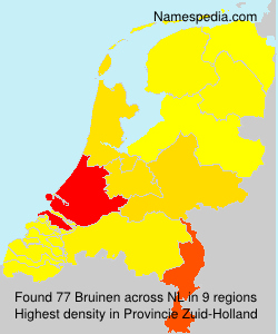 Surname Bruinen in Netherlands Surname Bruinen in Netherlands