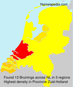Surname Bruinings in Netherlands Surname Bruinings in Netherlands