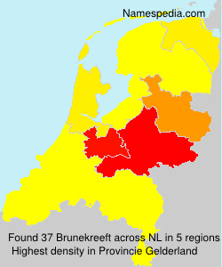 Surname Brunekreeft in Netherlands Surname Brunekreeft in Netherlands