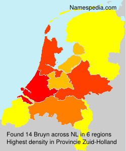 Surname Bruyn in Netherlands Surname Bruyn in Netherlands