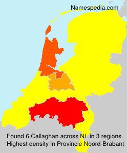 Surname Callaghan in Netherlands Surname Callaghan in Netherlands