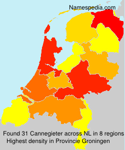 Surname Cannegieter in Netherlands Surname Cannegieter in Netherlands