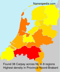 Surname Carpay in Netherlands Surname Carpay in Netherlands