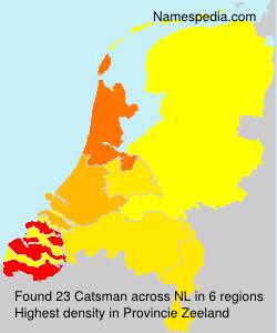 Catsman Catsman