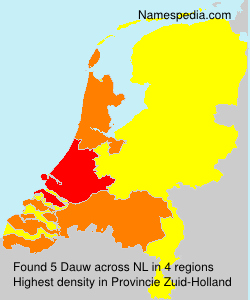 Dauw Dauw