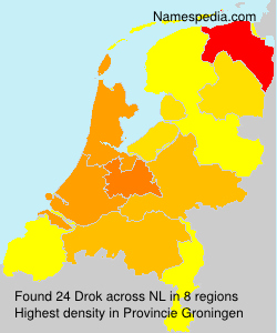 Surname Drok in Netherlands Surname Drok in Netherlands