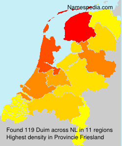 Surname Duim in Netherlands Surname Duim in Netherlands