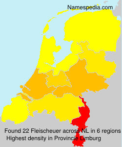 Surname Fleischeuer in Netherlands Surname Fleischeuer in Netherlands