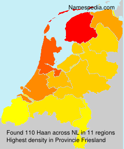 Surname Haan in Netherlands Surname Haan in Netherlands
