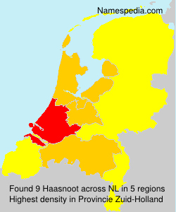 Surname Haasnoot in Netherlands Surname Haasnoot in Netherlands