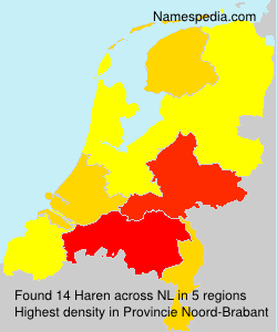 Haren Haren