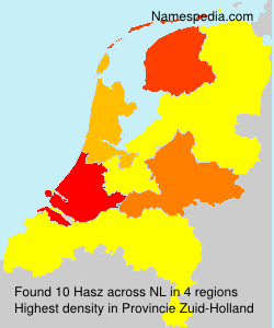 Hasz Hasz