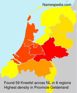 Kneefel Kneefel