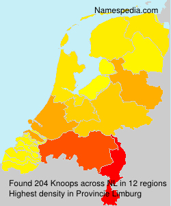 Knoops Knoops