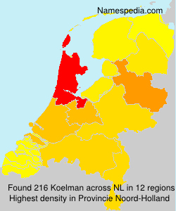 Koelman Koelman