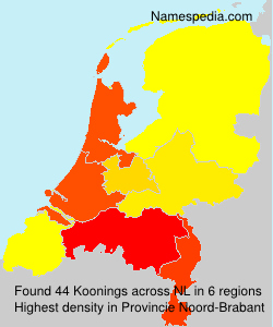 Koonings Koonings