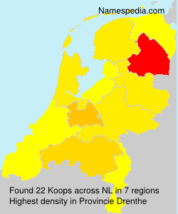 Koops Koops