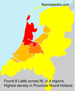 Surname Labib in Netherlands Surname Labib in Netherlands