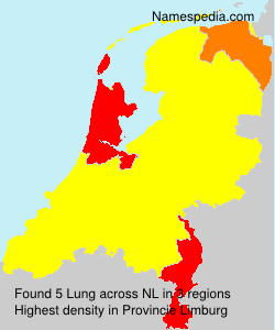 Surname Lung in Netherlands Surname Lung in Netherlands