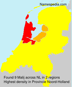 Surname Malij in Netherlands Surname Malij in Netherlands