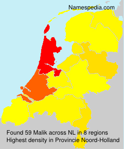 Malik Malik
