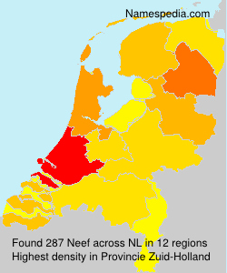 Surname Neef in Netherlands Surname Neef in Netherlands