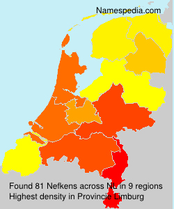 Nefkens Nefkens