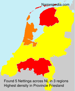 Surname Nettinga in Netherlands