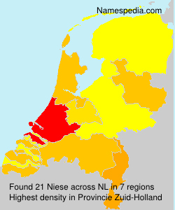 Niese Niese