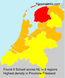 Schaaf Schaaf