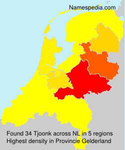 Surname Tjoonk in Netherlands Surname Tjoonk in Netherlands