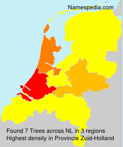 Trees Trees