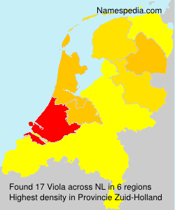 Viola Viola