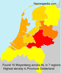 Surname Wayenberg in Netherlands