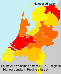 Wildeman Wildeman