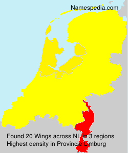 Surname Wings in Netherlands