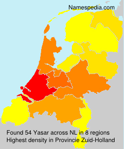 Yasar Yasar