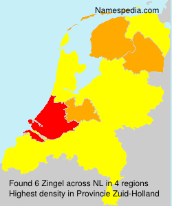 Zingel Zingel