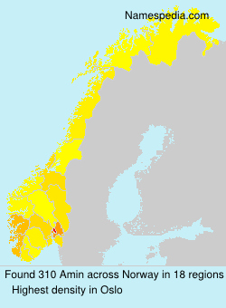 Surname Amin in Norway Surname Amin in Norway