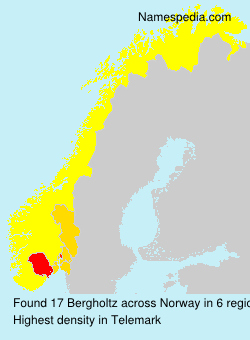 Surname Bergholtz in Norway Surname Bergholtz in Norway