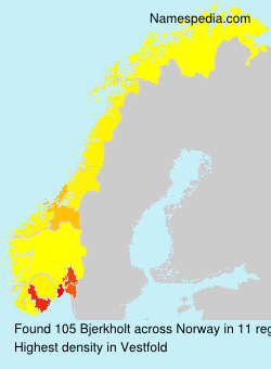 Surname Bjerkholt in Norway Surname Bjerkholt in Norway
