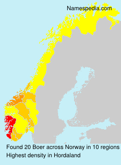 Boer Boer