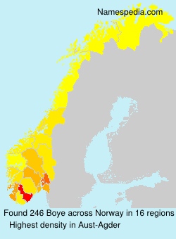 Surname Boye in Norway Surname Boye in Norway