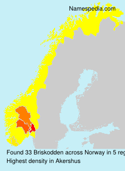 Briskodden Briskodden