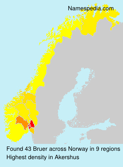 Surname Bruer in Norway Surname Bruer in Norway