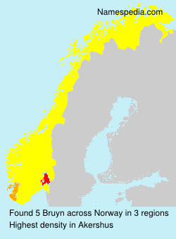 Surname Bruyn in Norway Surname Bruyn in Norway